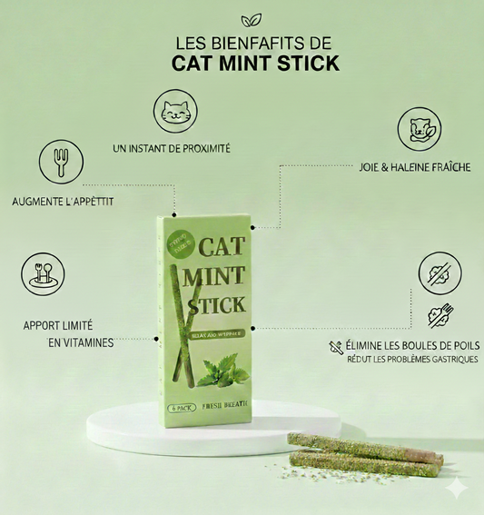 Pawtopia Sticks Santé Menthe | 3 en 1 : Haleine + Dents + Digestion