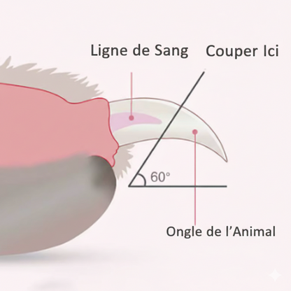 Pawtopia Coupe-Ongles Sécurisé avec LED Intégrée