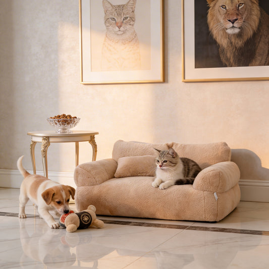 Pawtopia Canapé Lit pour Chat & Chien